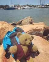 A senior citizen teddy in a fashionable waistcoat, at the seaside